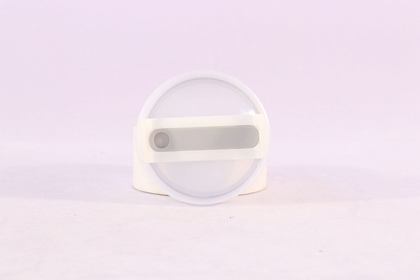 Stainless Steel Tumbler with Handle Straw